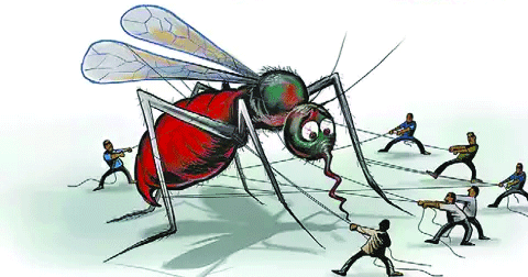 Dhaka City Corporations fail to control Dengue – The Daily Industry